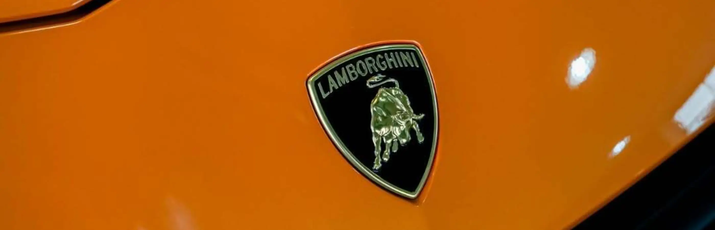 Building a premium digital presence for a luxury automotive retailer hero image